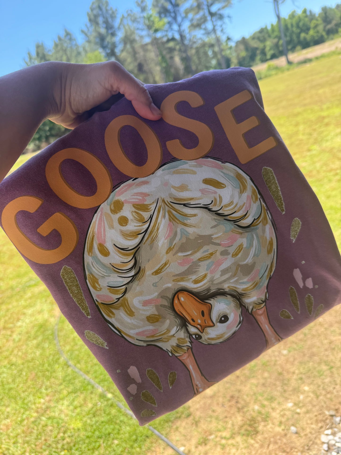 Duck Duck Goose